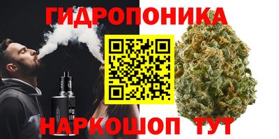 МДПВ Тара