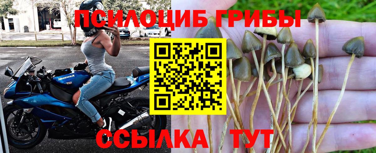 Галлюциногенные грибы MAGIC MUSHROOMS  Псилоцибиновые грибы MAGIC MUSHROOMS  Вход с VPN  Прохладный 