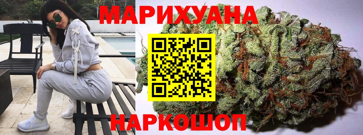 Бошки Шишки конопля Прохладный